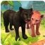 Panther Family Sim Online 