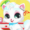 Pet Cat Spa And Salon Games HD