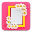 Pic Frames - Photo Collage Frames