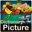 Picture Dictionary