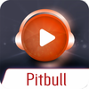 Pitbull Top Hits