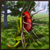 Pitcher Plant Simulator