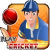 Play Cricket