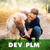 PLM DEV