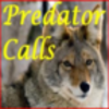 Predator Calls