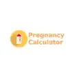 Pregnancy Calculator