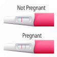 Pregnancy Test