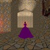 Princess in maze of castle