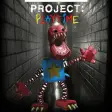 Project Playtime