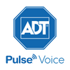 Pulse Voice