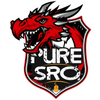 PureSRO - Private SRO Server