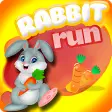 Rabbit Run