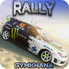 RALLY GYMKHANA