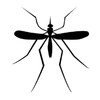 Mosquito Sound