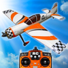 Real RC Flight Sim