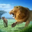 Rise of Lion King