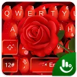 Romantic Love Red Rose Keyboard Theme