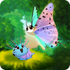 Flutter: Butterfly Sanctuary