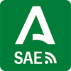 SAE. Servicio Andaluz de Empleo