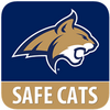 Safe Cats