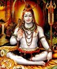 Shiva