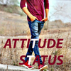 Attitude Status