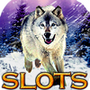 Slots Wolf Run