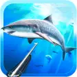 Spearfishing 3D