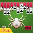 Spider Solitaire Pro