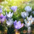 Spring Landscapes Wallpaper