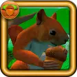 Squirrel Simulator