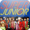 [SSKIN] SuperJunior_002_1