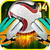 Super Football Goalkeeper 2014