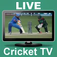 T20 Cricket Games 2019 3D