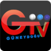 GTV