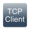 TCP/TELNET CLIENT