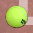 Tennis Champion 3D