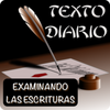 TEXTO DIARIO