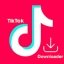 TikTok Downloader 