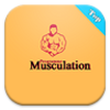 Top Programme Musculation