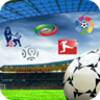 Top Soccer Leagues Live Score