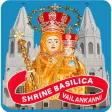 Vailankanni Shrine Live Mass