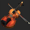 Violin Inst