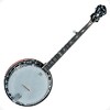 Virtual Banjo