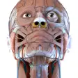 Visual Anatomy 3D - Human