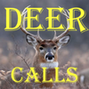 White Tailed Deer Calls