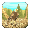 Wild Eagle Sim