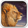 Wild Lion Live Wallpaper HD