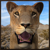 Wild Lioness Simulator