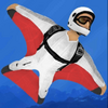 Wingsuit